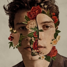 'In My Blood' by Shawn Mendes - Fave Songs