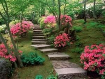 Japanese Garden - Gardens