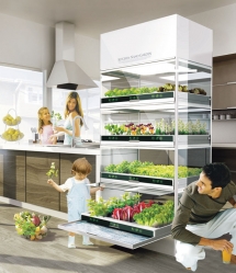 Kitchen Nano Garden - Fave products
