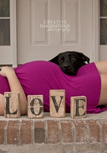 Maternity photo with dog - Gone Baby Crazy!