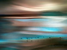 Migrations by Ursula Abresch - Art for home and cottage