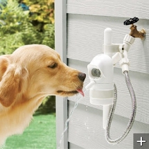 Motion Sensing Automatic Outdoor Pet Fountain - A Dogs Life