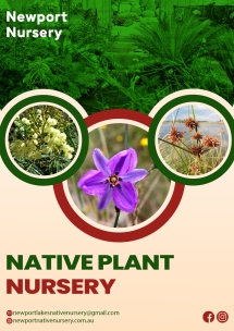 Native plant nursery in Melbourne - Native Nursery