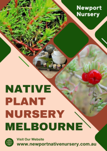 Native Plant Nursery Melbourne - Native Nursery