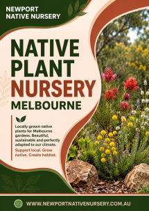 Native Plant Nursery Melbourne – Quality Indigenous Plants - Native Nursery