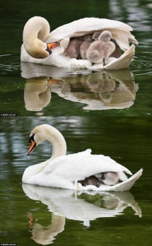 Nature Photography - Fantastic Photography 