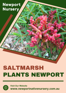 Garden Decor Accessories Newport - Native Nursery