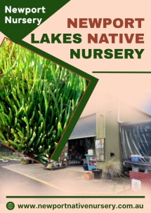 Newport Native Nursery - Native Nursery