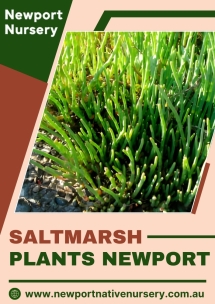 Newport Native Nursery - Native Nursery
