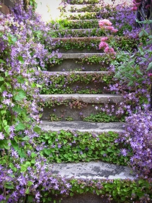 No End to Gardens - Gardens