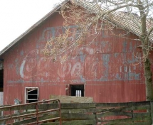 Old Coca-Cola Barn - Barns