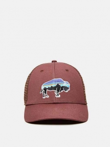 Patagonia Fitz Roy Bison Low Profile Trucker Hat - Hats