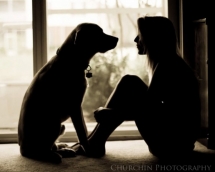 Pet Photography - Beautiful Photography