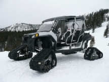 Polaris RZR XP 4 with Camoplast Tatou 4s tracks - Side by Sides