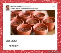 Pot Brownies Funny - Funny