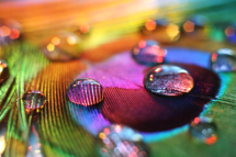 Rainbow Colors - Fantastic Photography 