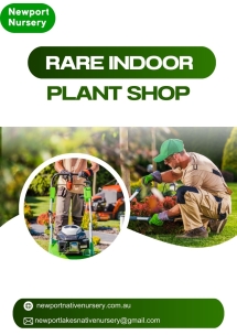 Rare Indoor Plant Shop - Newport Native Nursery - Native Nursery