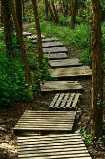 Recycled Garden Path - Magical Gardens