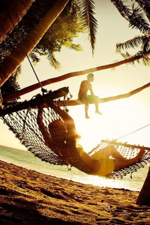 Relax under a palm with a friend - Just Relax