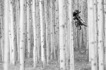 See the biker through the forest - Mountain Biking