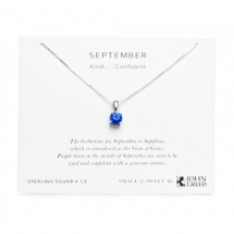 Small & Sweet Silver & CZ September Birthstone Necklace - Jewelry