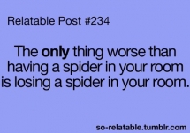 Spiders - Funny Things