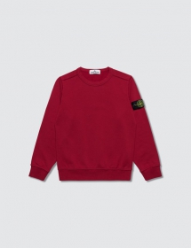 Stone Island Sweatshirt - For the kids