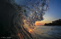 Sun Curl - LG Mears Images - Photography I love