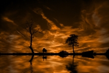 Sunset Silhouettes by Evans Lazar - Amazing photos