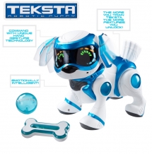 Teksta Dog Toy - So hot!
