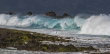 The Shore Break by Kelly Headrick - Amazing photos