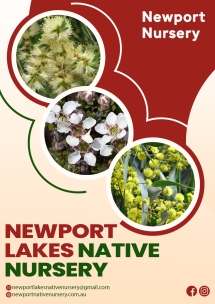 Transform Your Space with Newport Lakes Native Nursery Plants - Native Nursery
