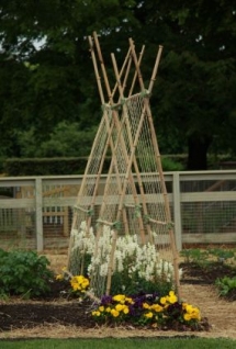 Trellis garden ideas - Magical Gardens