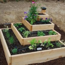 Vegetable Garden - Great Gardening Ideas