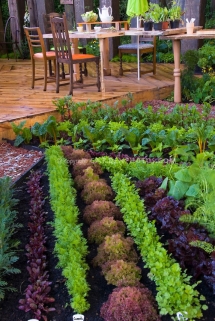 Vegetable Garden - Great Gardening Ideas