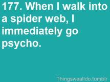 "When I walk into a spider web, I immediately go psycho." - Funny Stuff