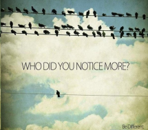 Who did you notice more? - Photography I love