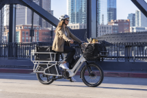 Why Utility E-Bikes Are Becoming the Most Practical Personal Tech on the Road - Electronics