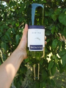 Wine Bottle Waterer - Great Gardening Ideas