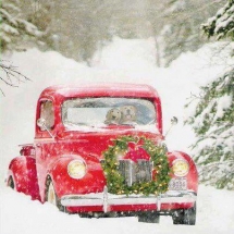 Winter drive - Holidays