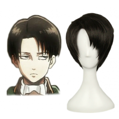  Attack on Titan Levi/Rivaille Cosplay Wig