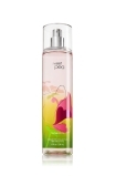 Bath & Body Works Gift Set  - Image 3