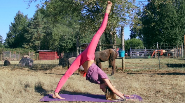 Boho Beautiful - Pilates Hard Core Blast - Image 3