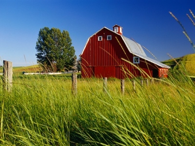 Classic Barn