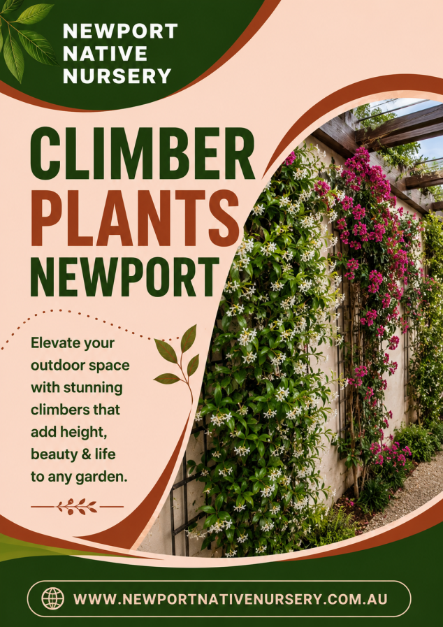 Climber Plants Newport – Beautiful Vines for Every Garden