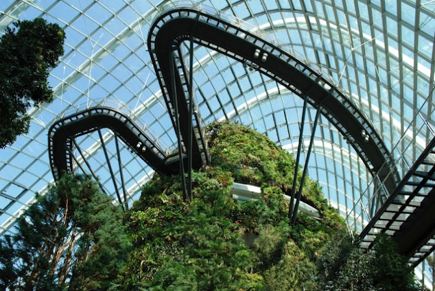 Cloud Forest  - Image 3