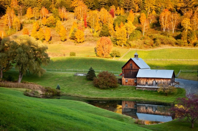 Country Barn beside a pond