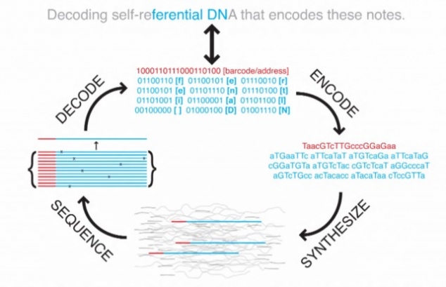 Breakthrough in DNA Storage - Image 2
