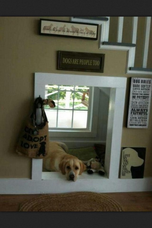 Dog nook under the stairs