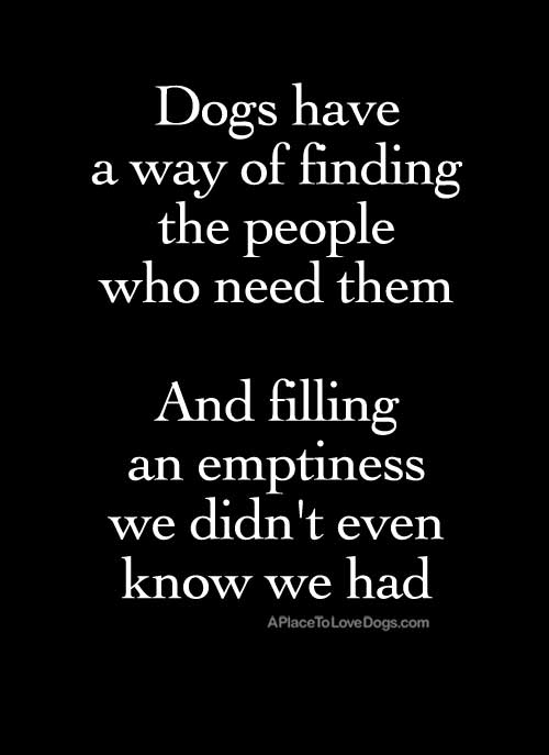 Dog quote